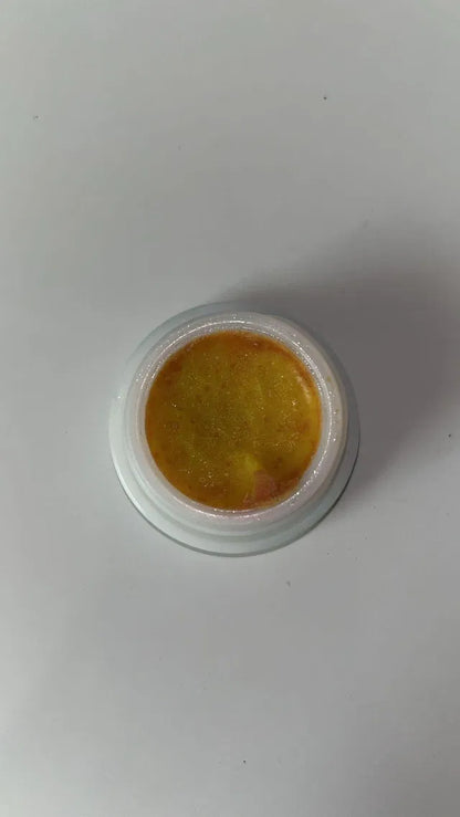 Cockroach Killer gel (Pack of 2)